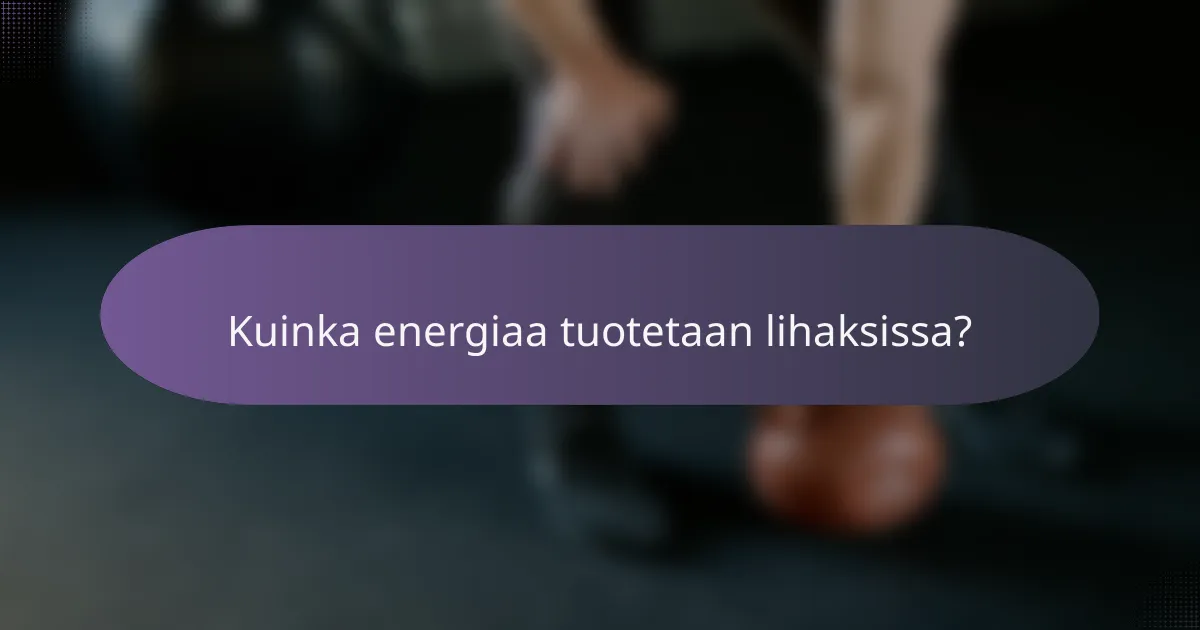 Kuinka energiaa tuotetaan lihaksissa?