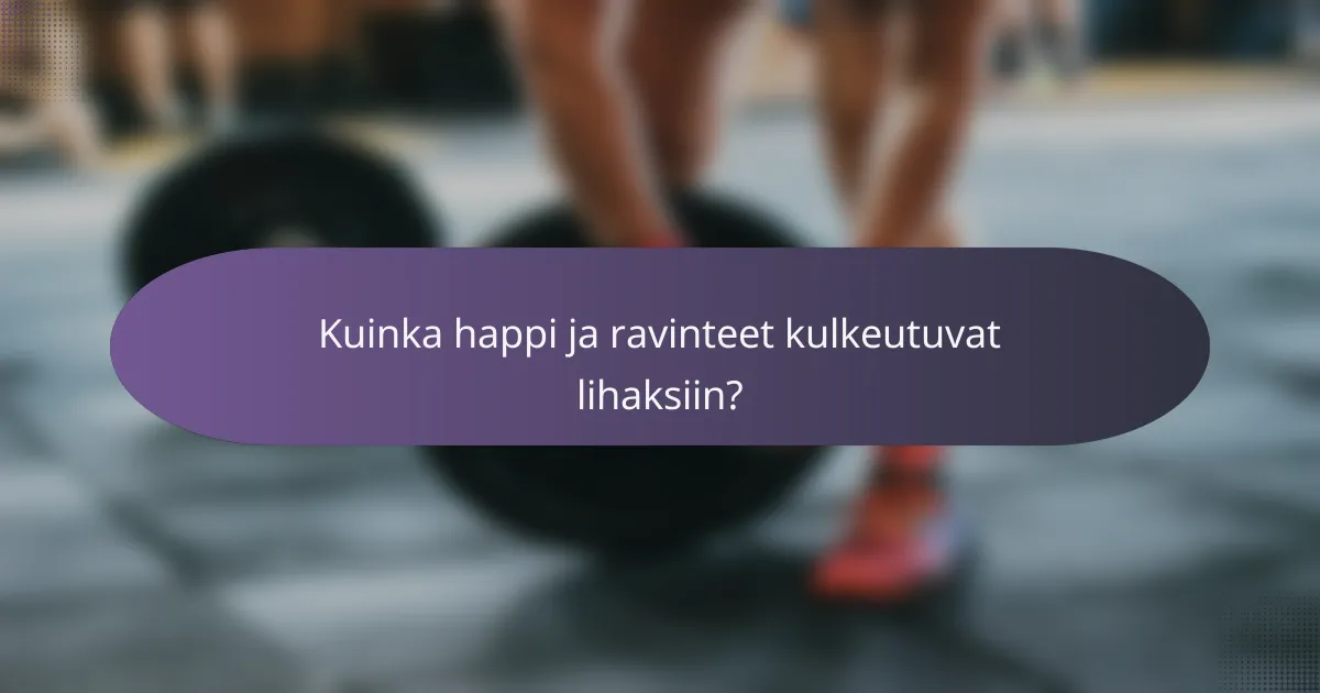 Kuinka happi ja ravinteet kulkeutuvat lihaksiin?
