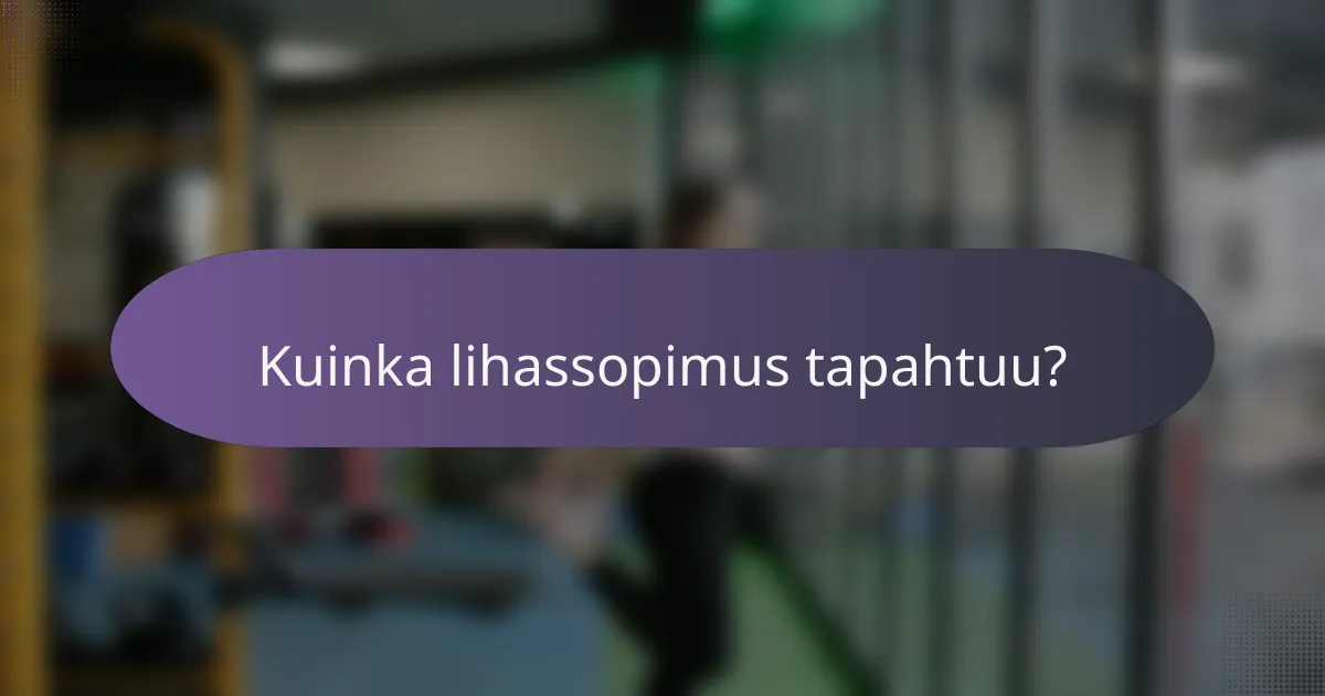 Kuinka lihassopimus tapahtuu?