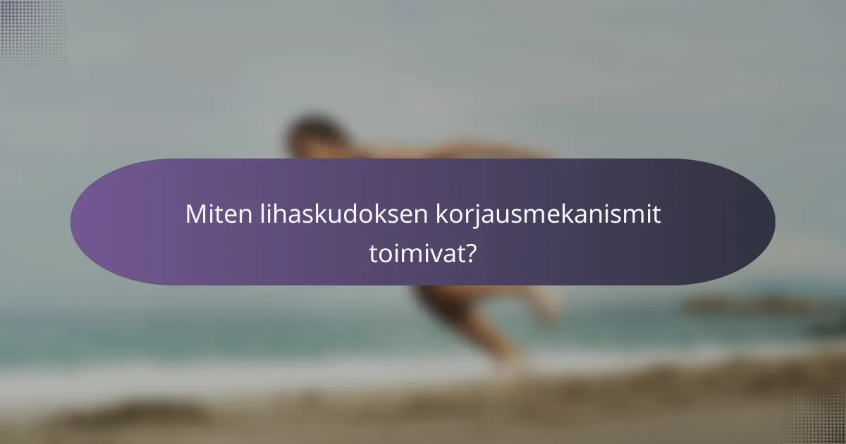 Miten lihaskudoksen korjausmekanismit toimivat?