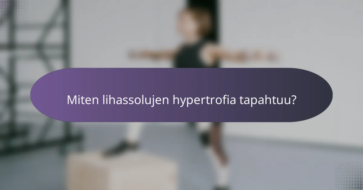 Miten lihassolujen hypertrofia tapahtuu?