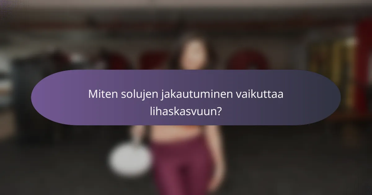 Miten solujen jakautuminen vaikuttaa lihaskasvuun?